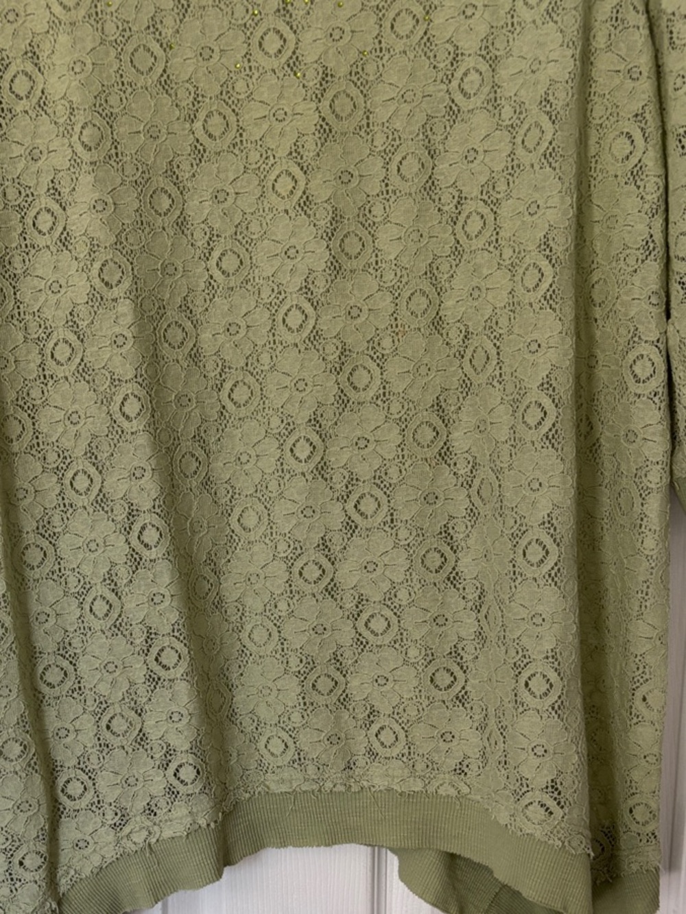Lace-Overlay Top in Light Sage - Picture 6 of 6